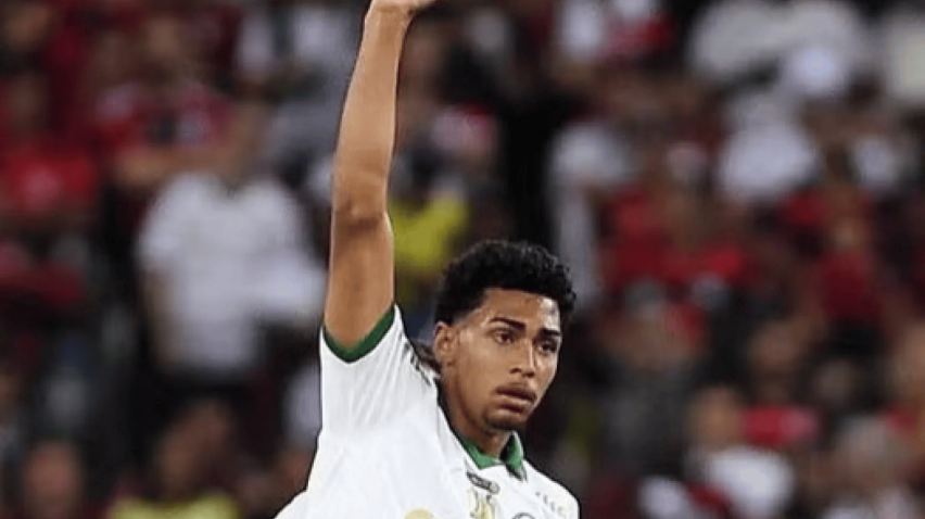 palmeiras